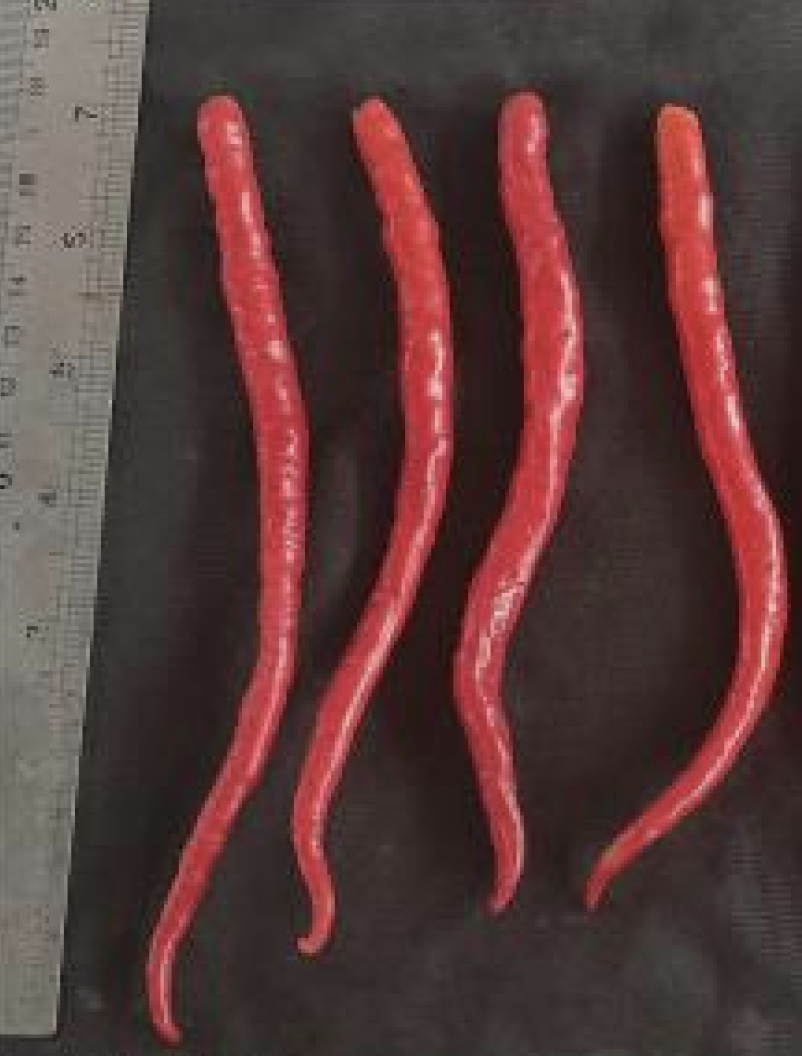 Control chili result