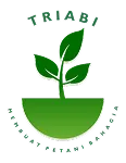 Triabi Logo